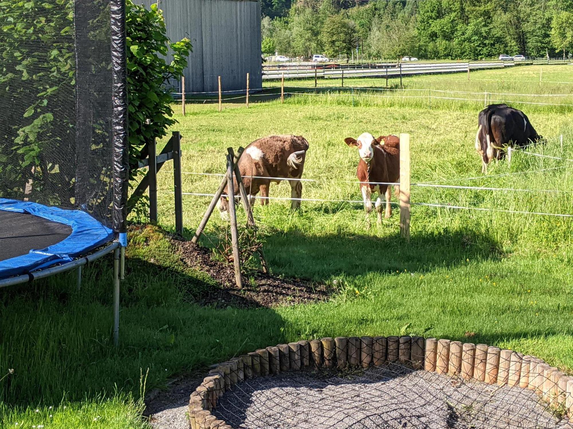 Ferienhaus Schwarzhans Schruns Zewnętrze zdjęcie